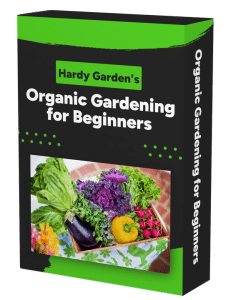 Organic Gardening Course Cover